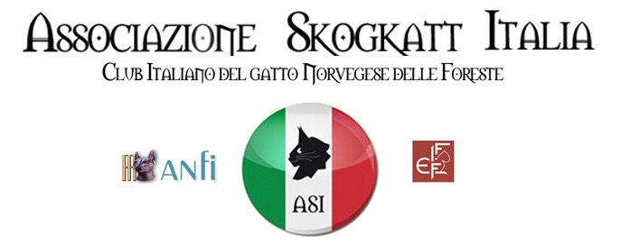 Gatto Norvegese delle Foreste Logo ASI