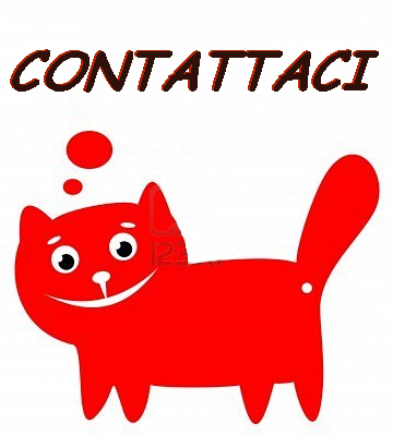 contatta lallevamento di gatti norvegesi graffi di sorrisi